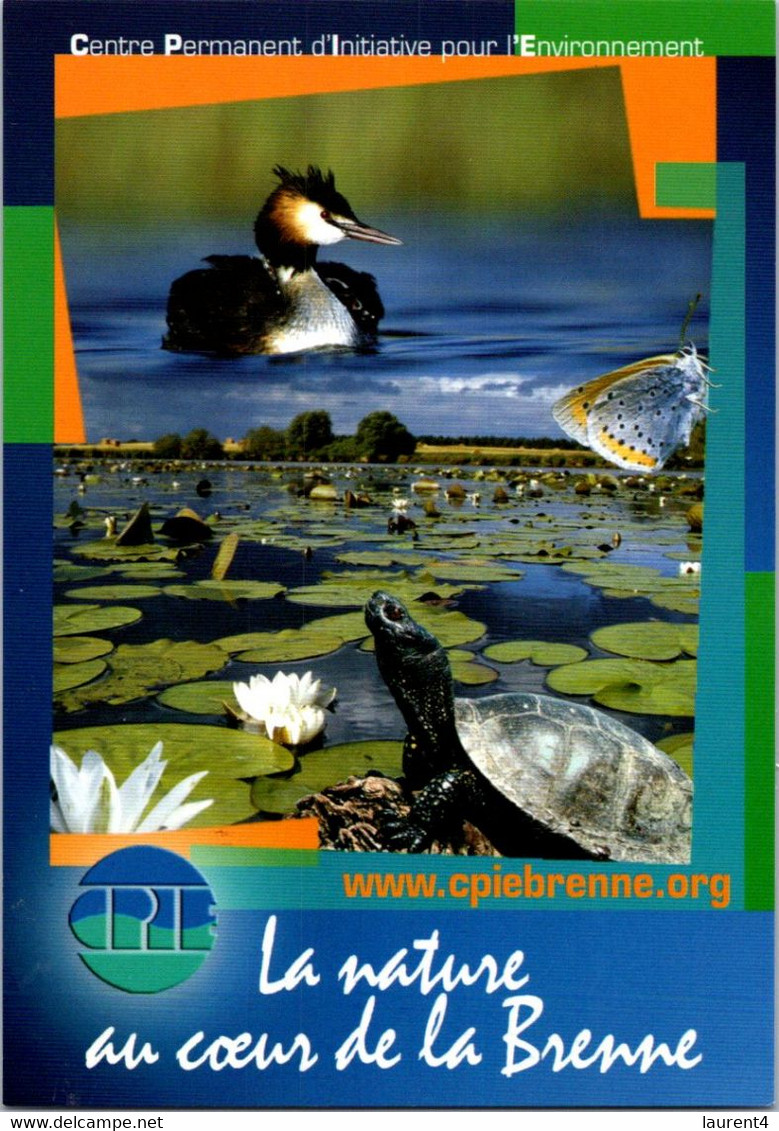 (1 L 45) (OZ/PF) France - Nature - Brenne - (bird & Turtle) - Tortues