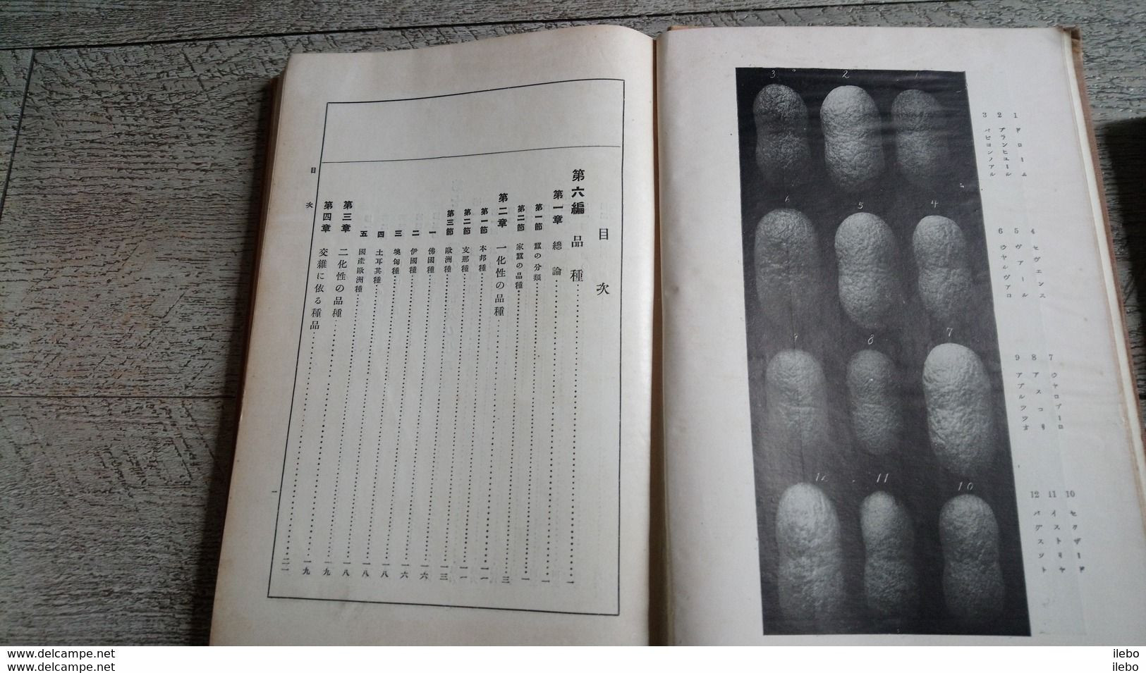 A Text Book Of Sericology Yoshimaro Tanaka Soie Silk Silkworm Japan Japanese Rare 1928 Japon Sericologie - Practical