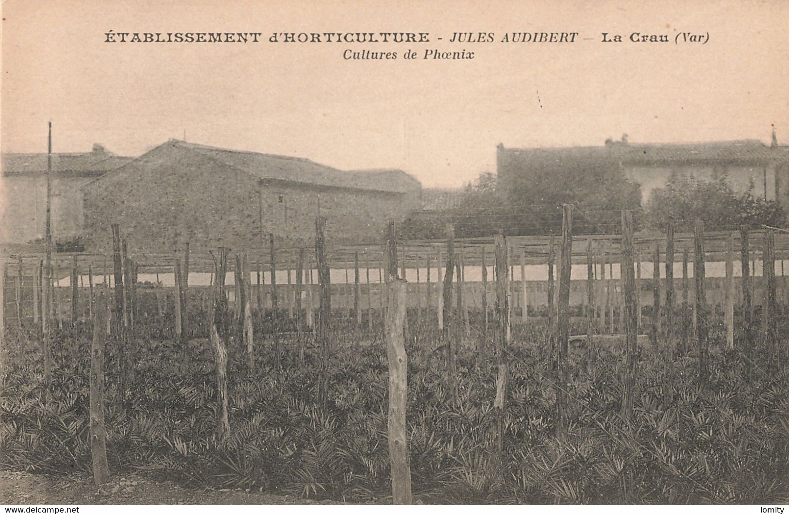 83 La Crau CPA établissement D' Horticulture Jules Audibert Cultures Du Phoenix - La Crau