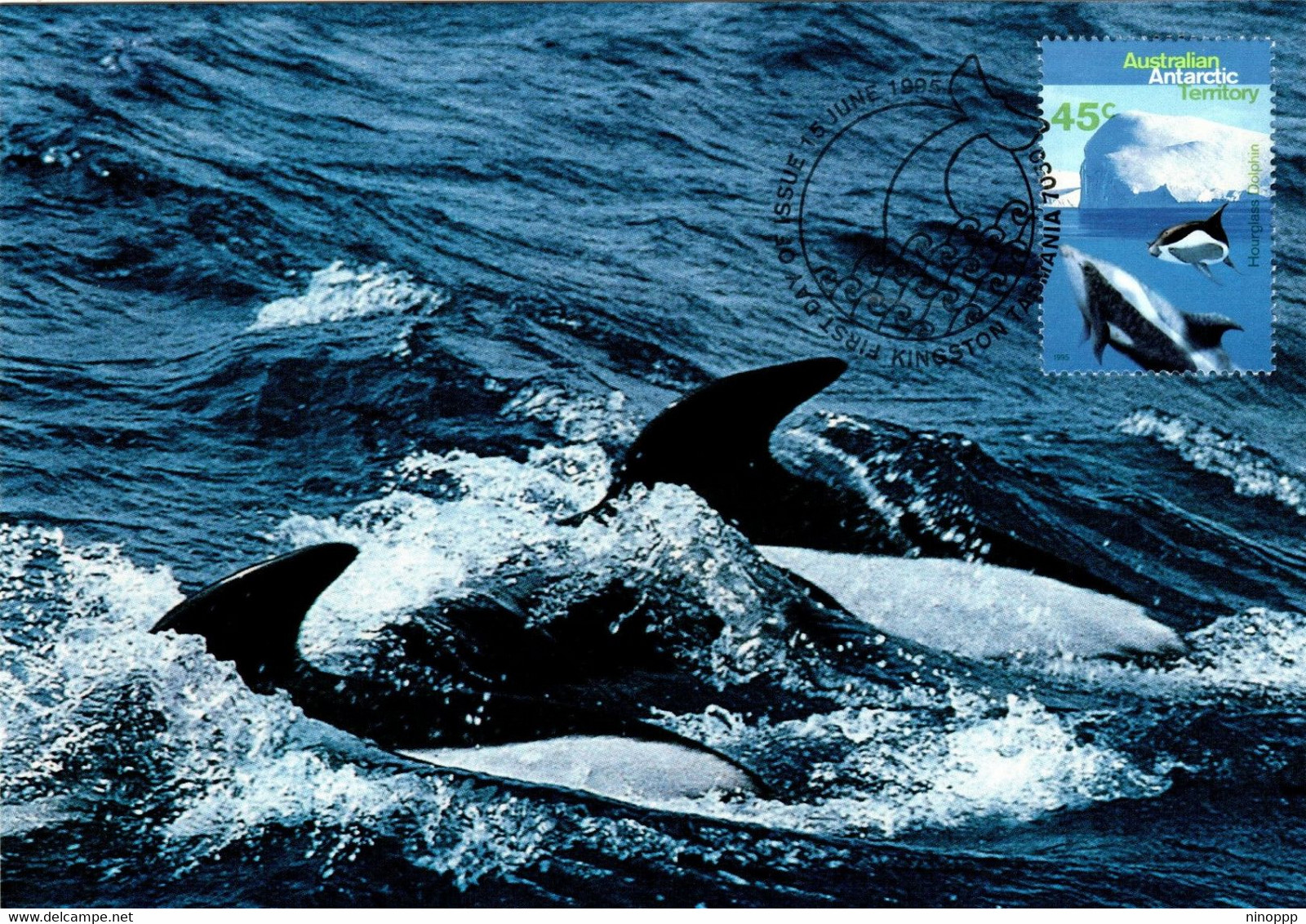 Australian Antarctic Territory 1995 Whales And Dolphins,Hourglass Dolphin,maximum Card - Maximum Cards