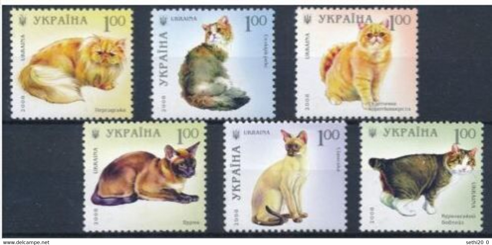Ukraine 2008 Cats Chats  MNH - Other & Unclassified