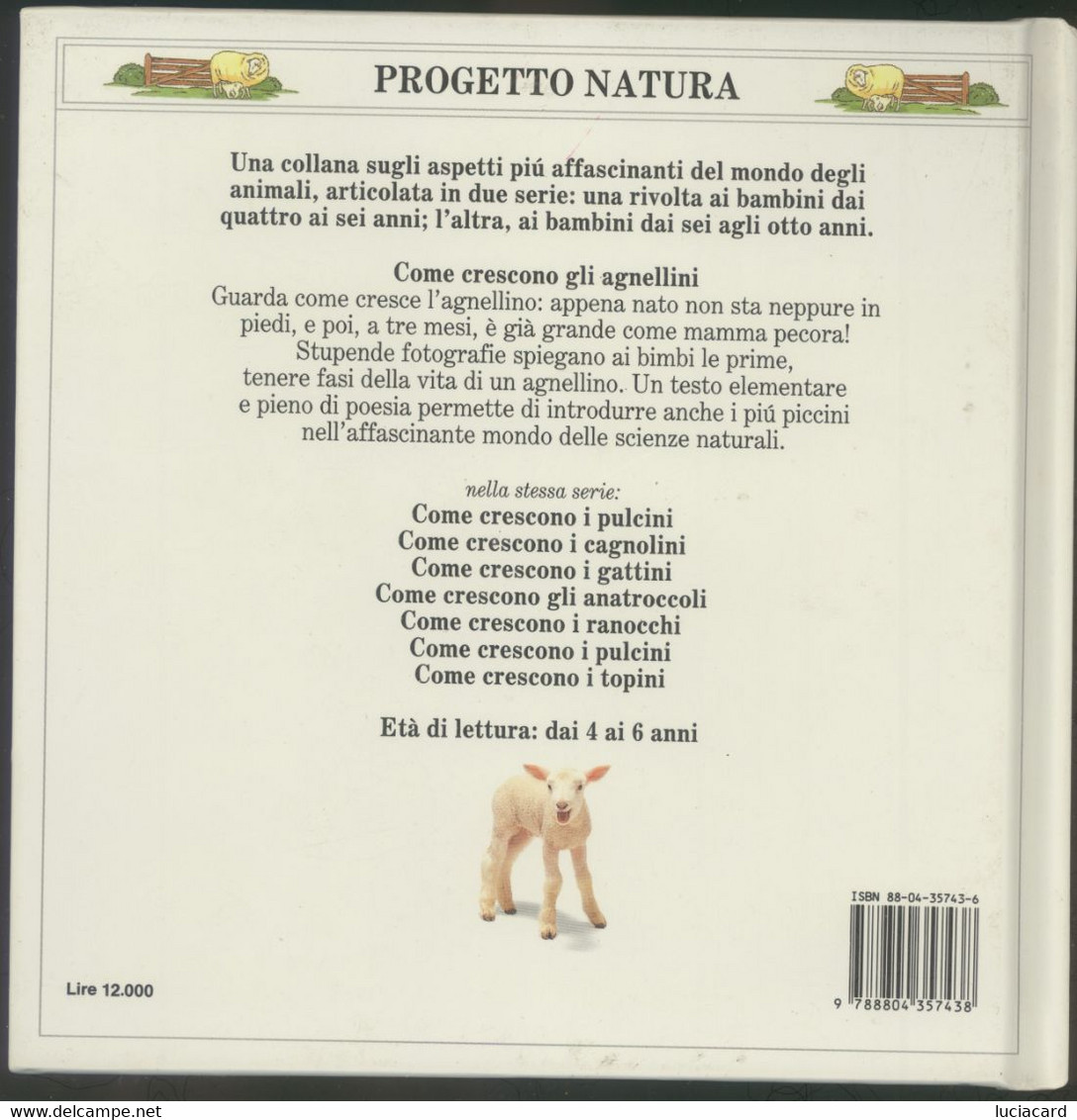 COME CRESCONO GLI AGNELLINI -PROGETTO NATURA -MONDADORI 1992 - Teenagers & Kids