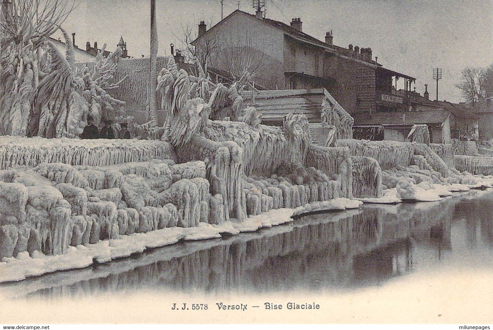 Suisse Schweiz Bise Glaciale Et Rives Gelées Au Chalet Russe De Versoix J.J. 5578 - Versoix