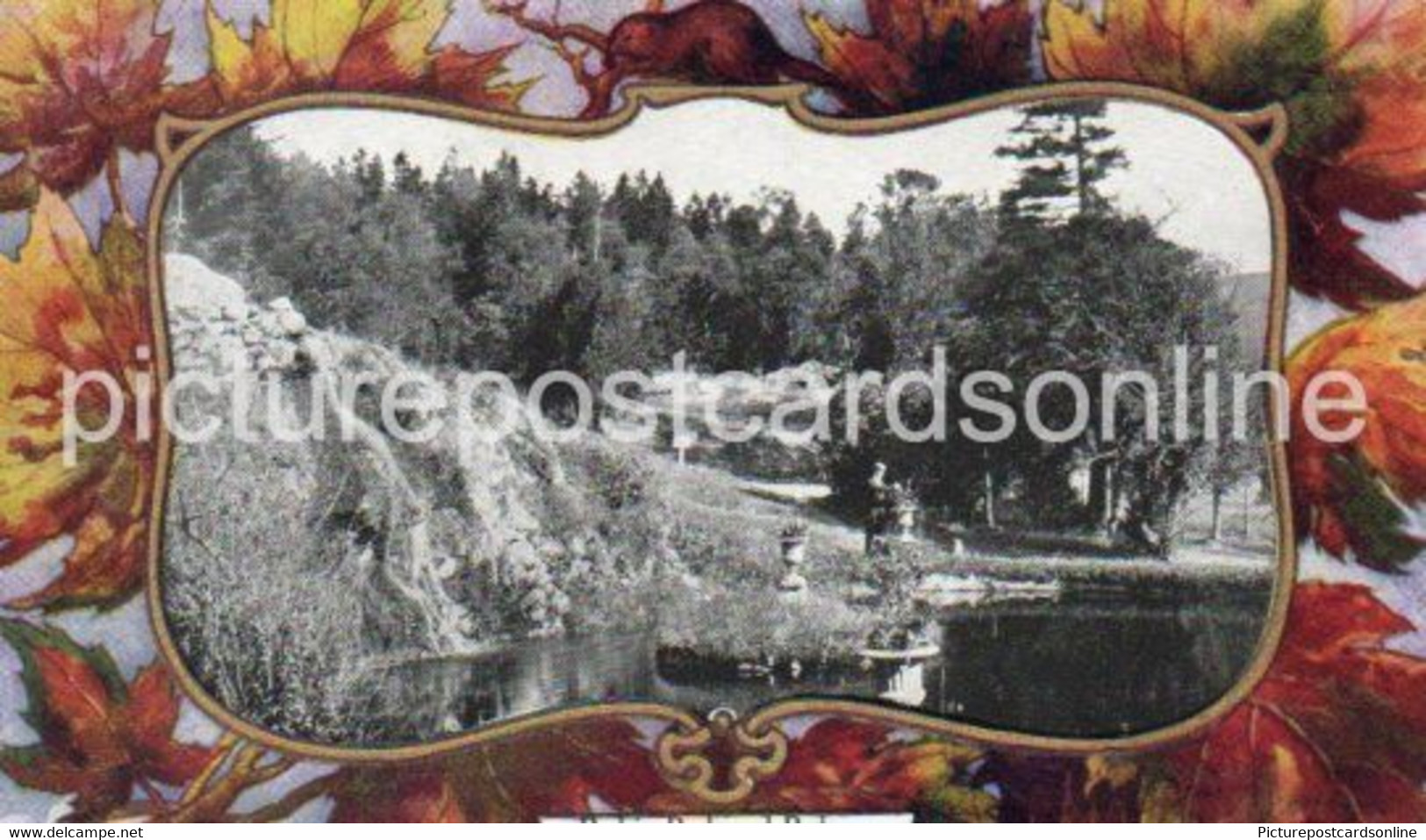 POOL IN ROCKWOOD PARK ST JOHN NEW BRUNSWICK OLD POSTCARD CANADA  MAPLE LEAVES NELSON & CO CARD - St. John