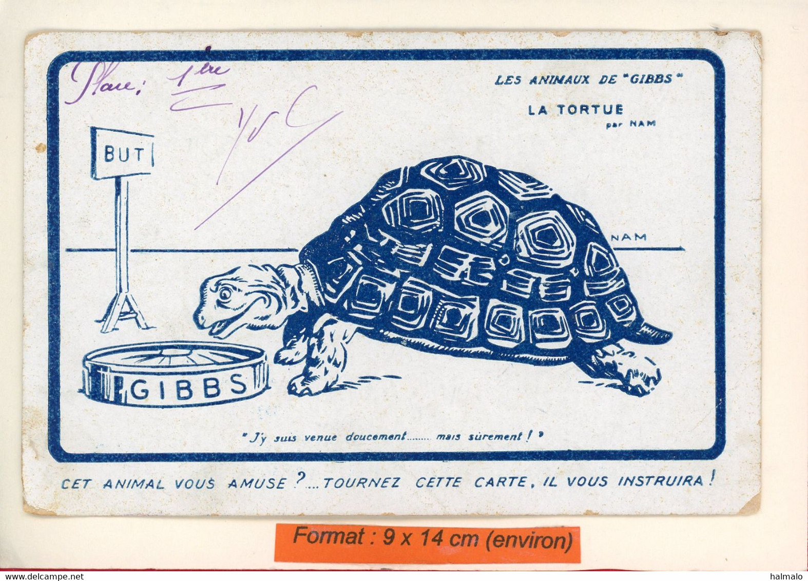 PUBLICITÉ GIBBS - TORTUE - ILLUSTRATEUR JACQUES NAM - (12991) - Schildkröten