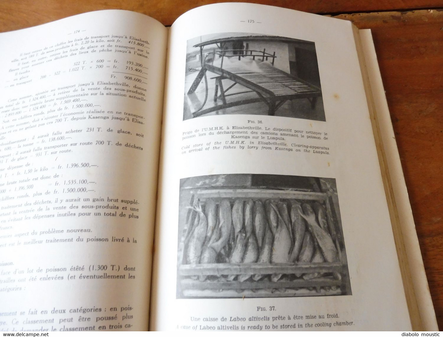 1950  Conférence Piscicole Anglo-Belge (pour une bonne production de poissons)- Elisabethville (Congo Belge)   bilingue