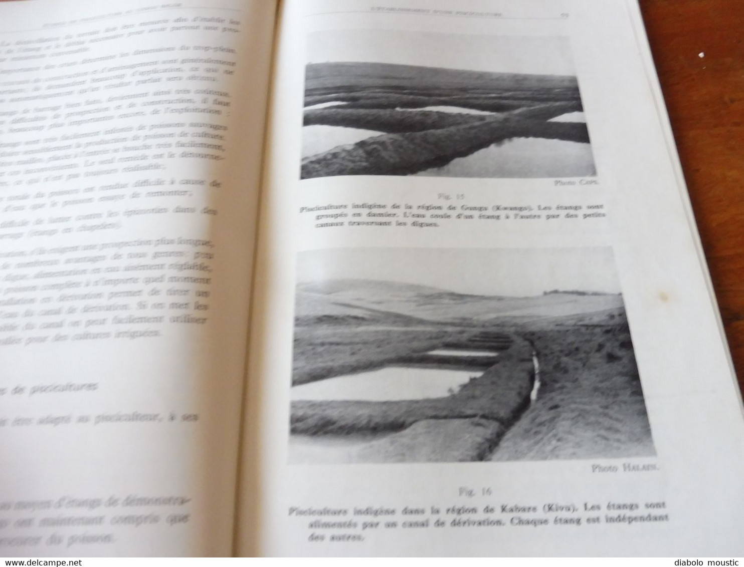 1950  La Construction d'Etangs de Pisciculture au Congo Belge  par A. F. de Bont ,  (Recherches piscicoles)