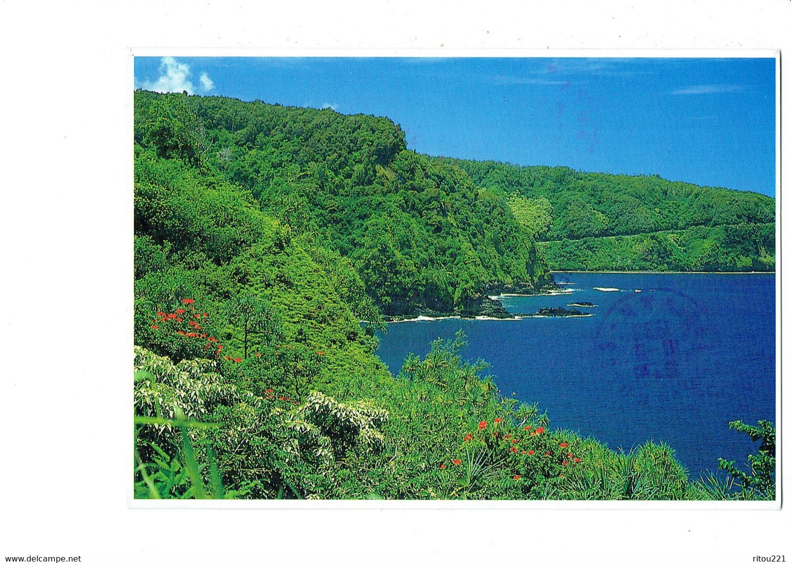 Cpm - Hāmākua Coast - Island Of Hawaii - 1993 - - Hawaï