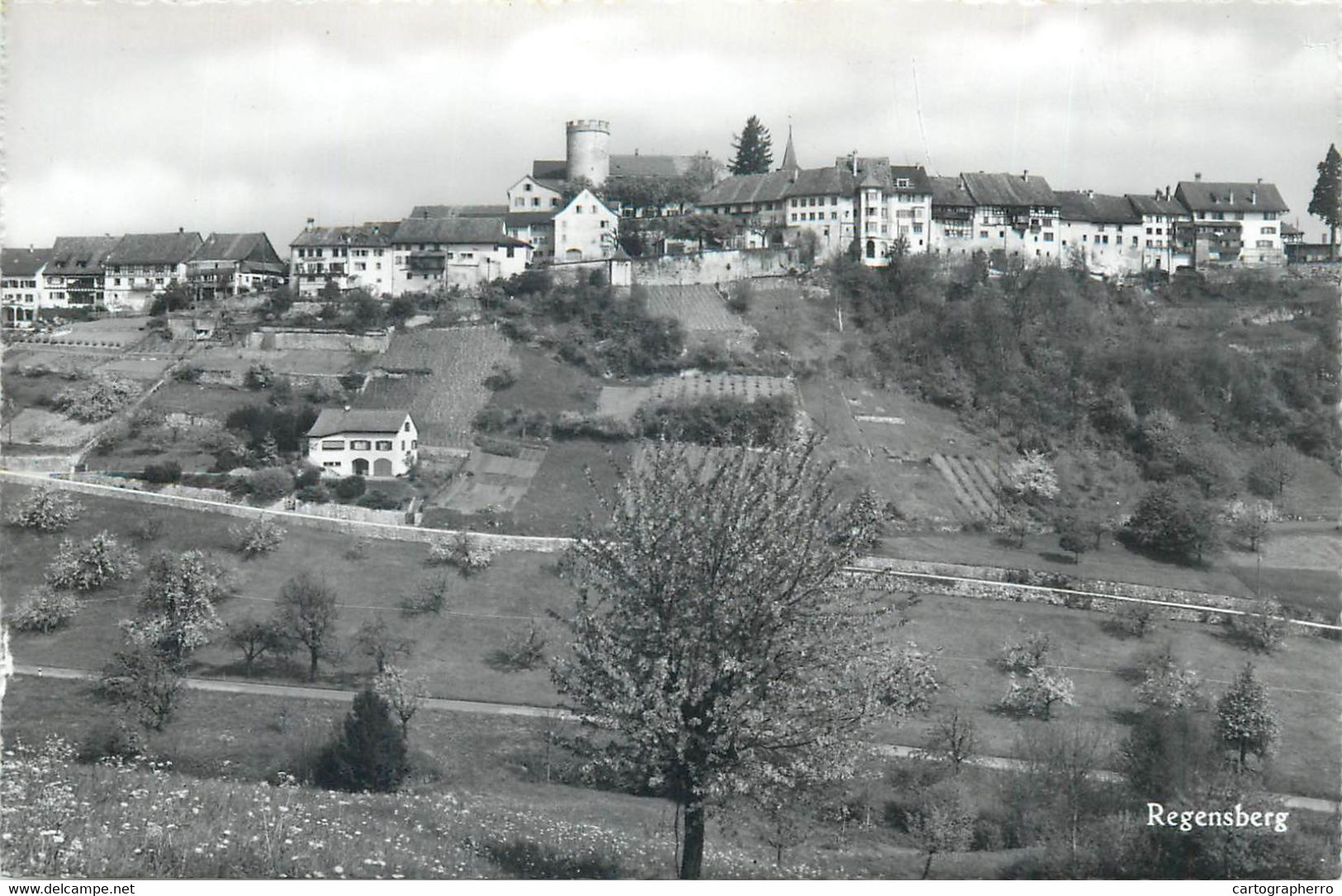 Switzerland Zurich REGENSBERG Hugo Kopp Postcard - Regensberg