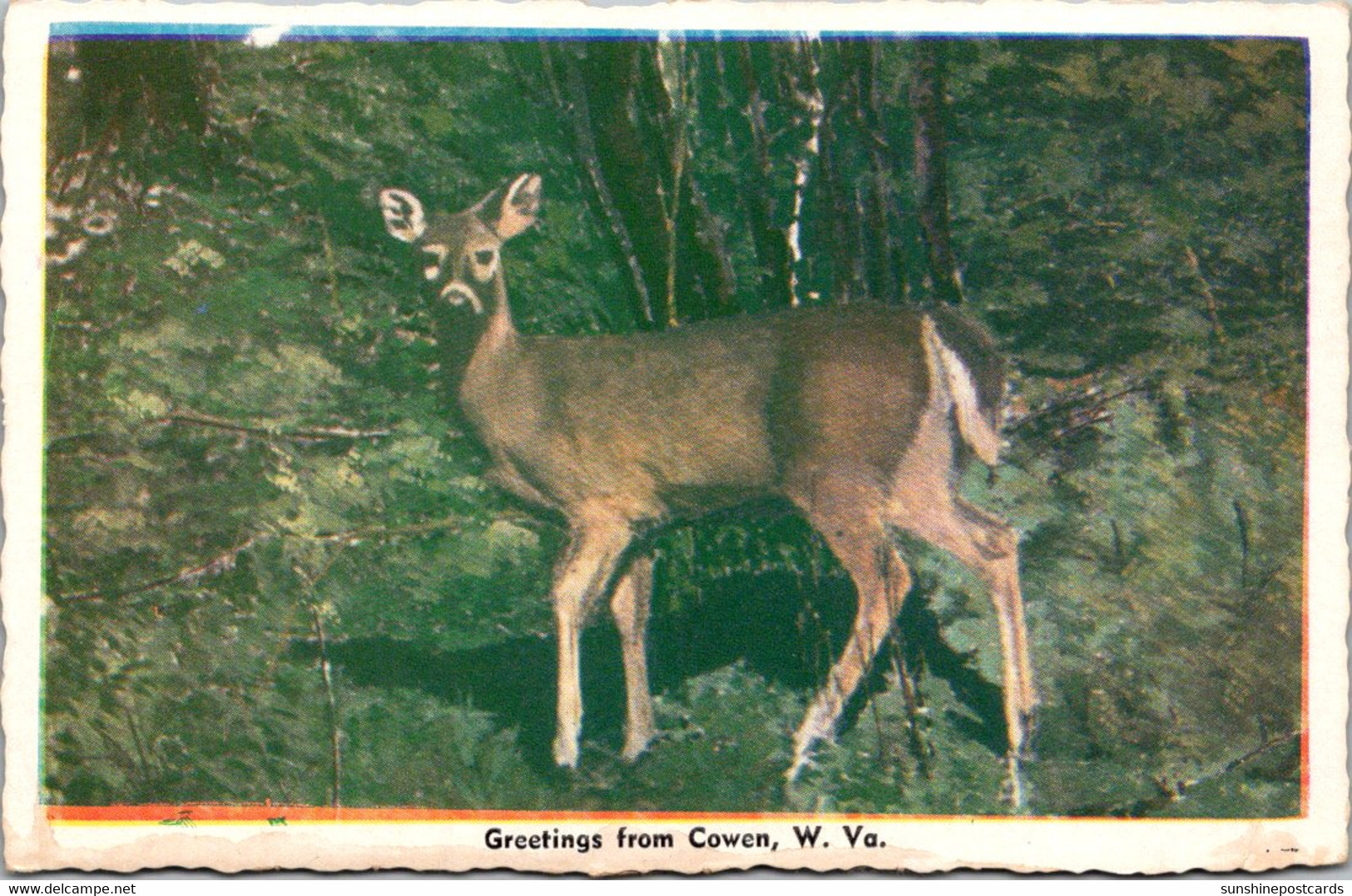 West Virginia Greetings From Cowen Dexter Press - Andere & Zonder Classificatie