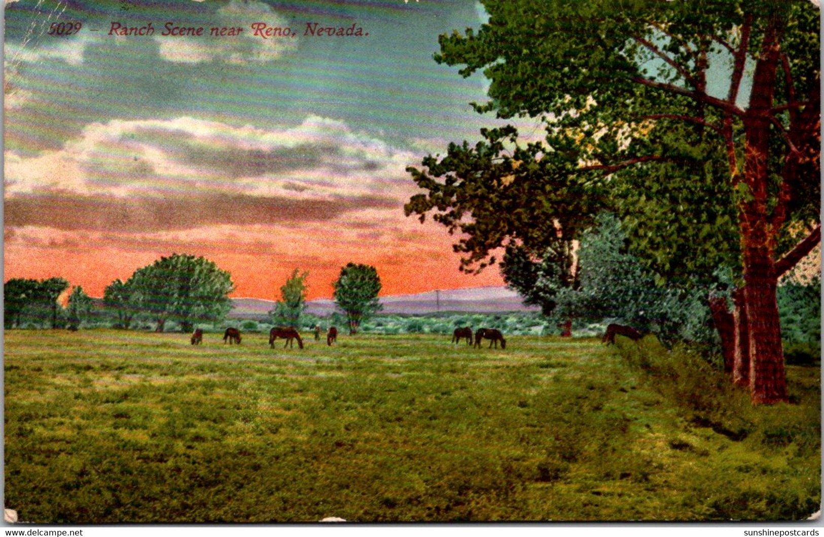 Nevada Ranch Scene Near Reno - Reno