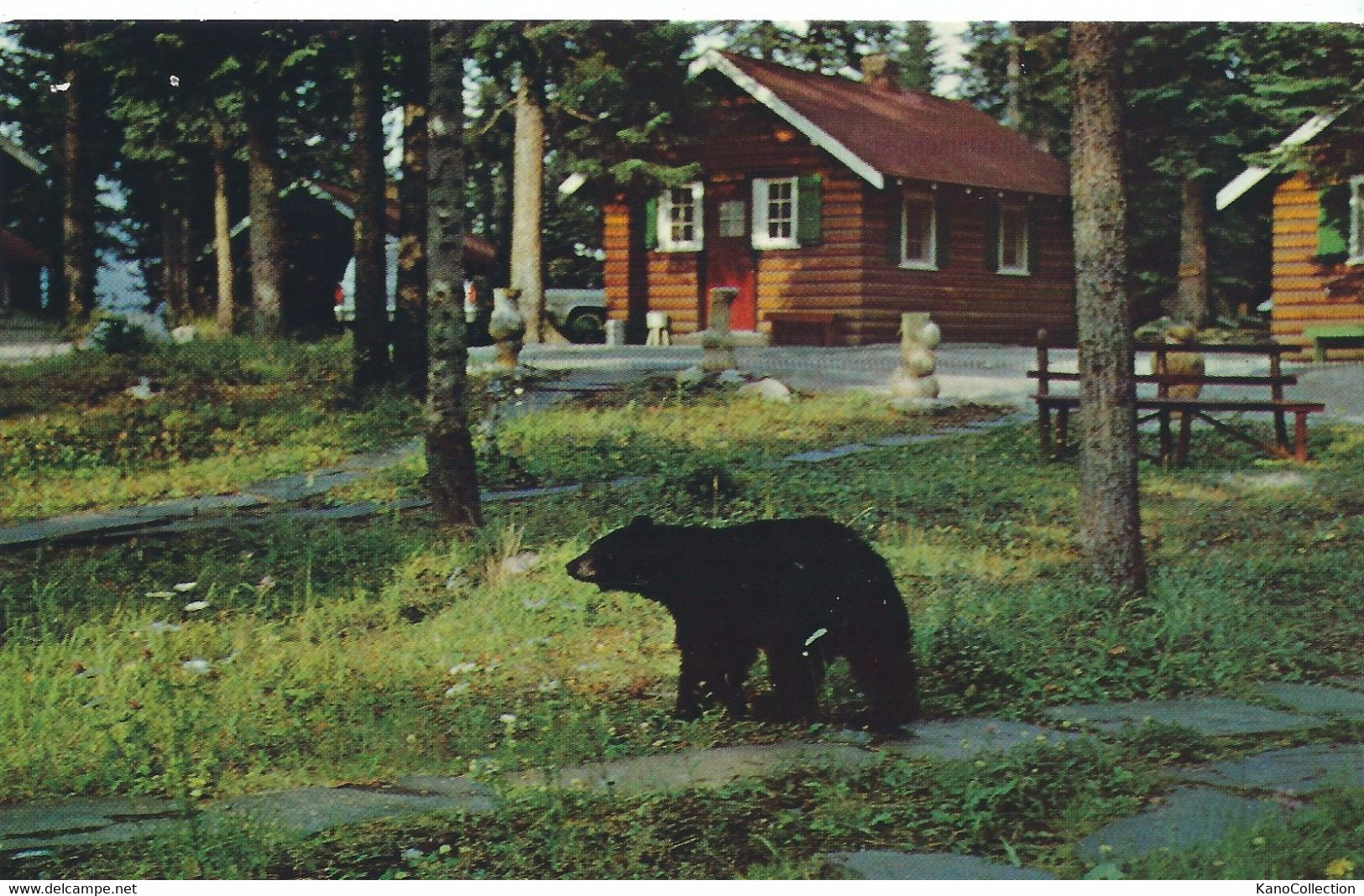 Alberta, Lake Louise, Paradise Lodge & Bungalows, Nicht Gelaufen - Lake Louise