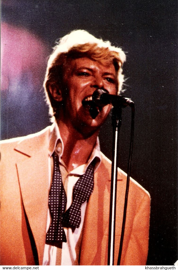 DAVID BOWIE - 2 PHOTOS SERIOUS MOONLIGHT TOUR - FOREST NATIONAL 17/18 MAI 1983 - Fotos