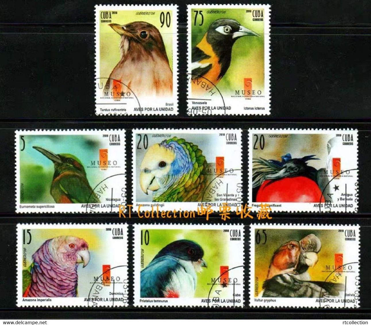 Cuba 2010 Animals Birds Fauna Parrots Nature Bird Of Prey Animal Parrot Fregata Magnificens Eagle Stamps USED - Gebraucht