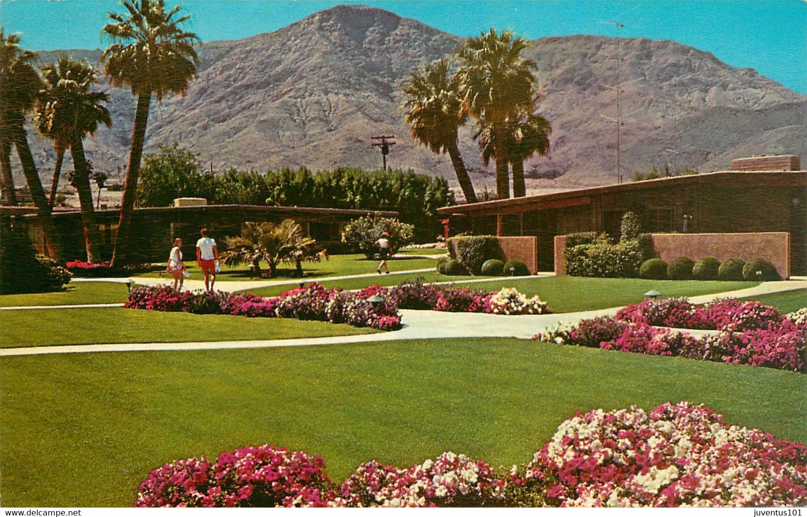 CPSM Palm Springs-Bungalows,thunderbird Country Club     L1838 - Palm Springs