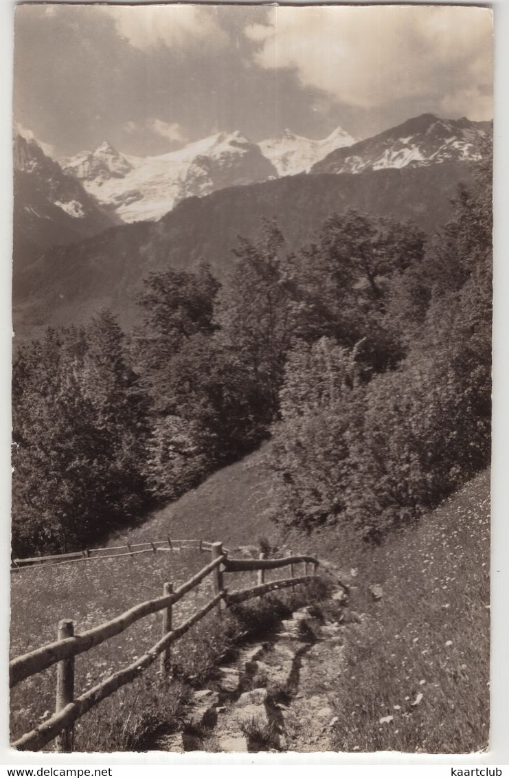 13133 Am Hasliberg Bei Hohfluh, Wetterhörner - (Schweiz/Suisse/CH) - 1955 - Hasliberg