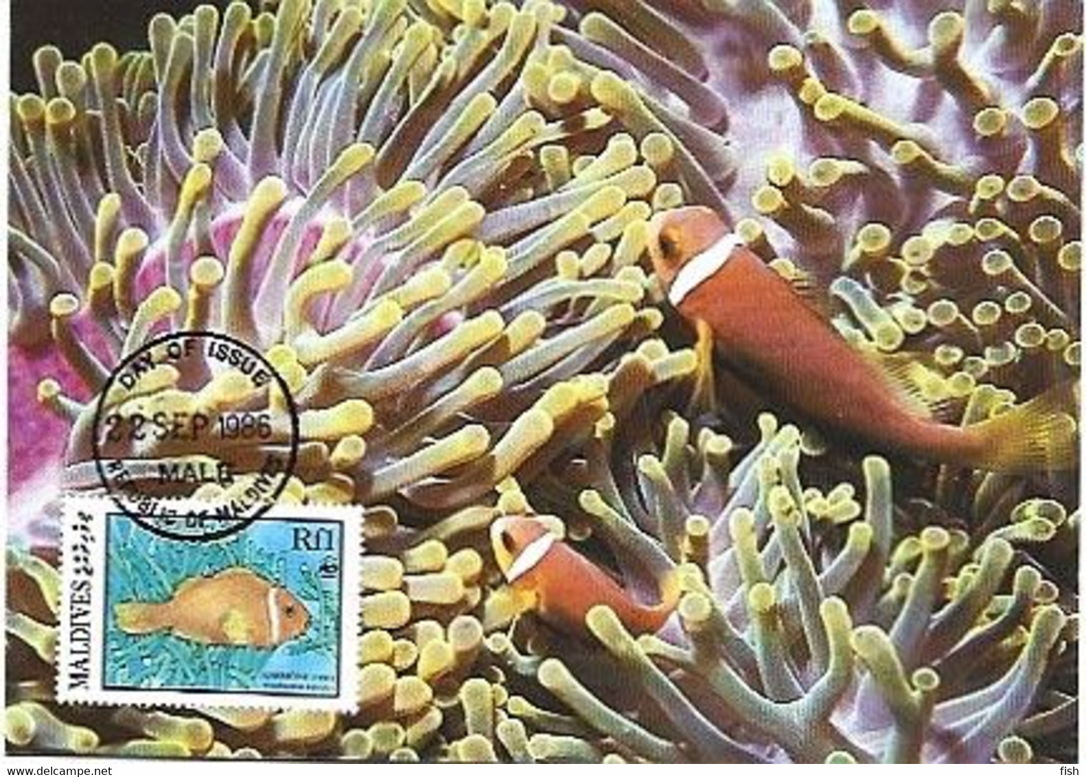 Maldives & Maximum Card, WWF Anemone Fish, Amphiprioninae, Male 1986 (9879) - Maldiven