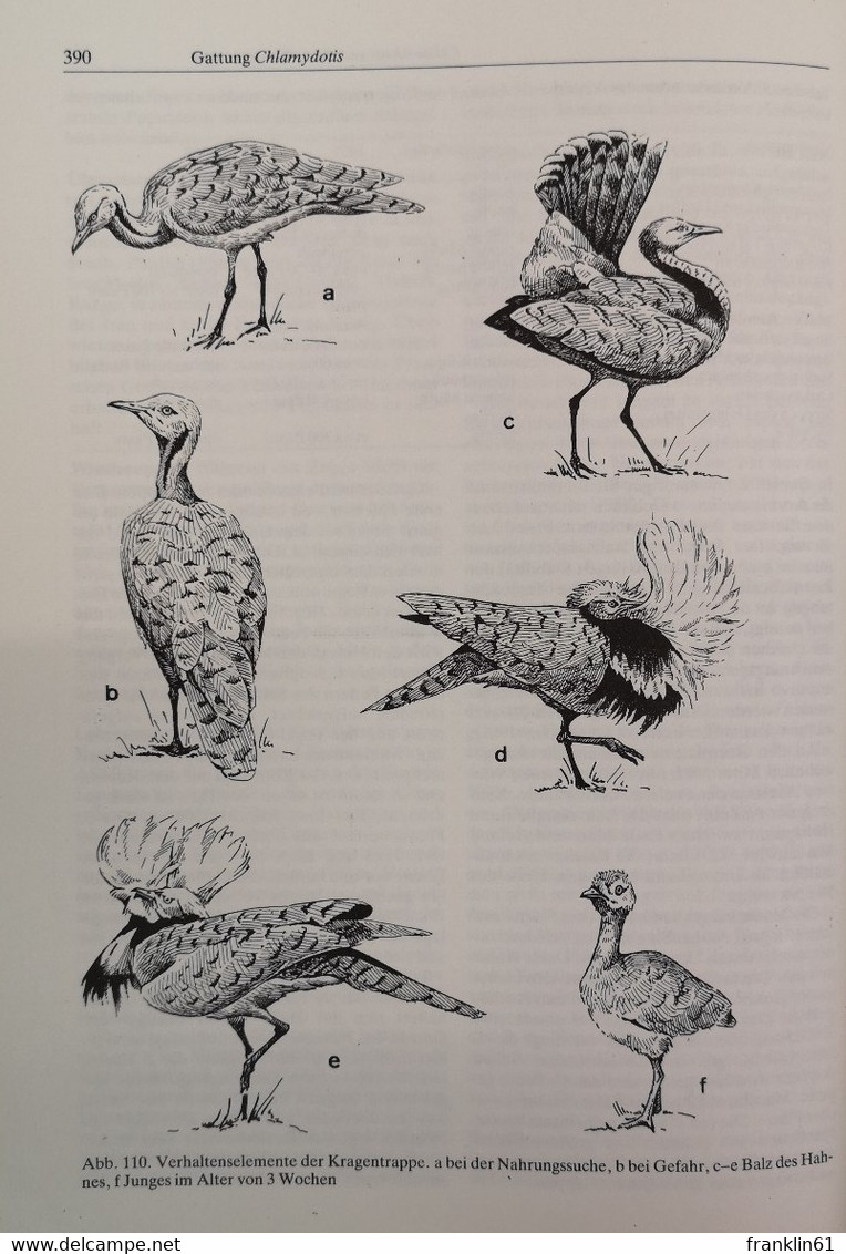 Handbuch der Vögel der Sowjetunion. Band 4. Galliformes. Gruiformes.