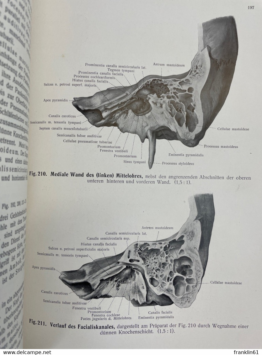 Raubers Lehrbuch der Anatomie des Menschen.  Abteilung 6: Sinnesorgane und Generalregister.