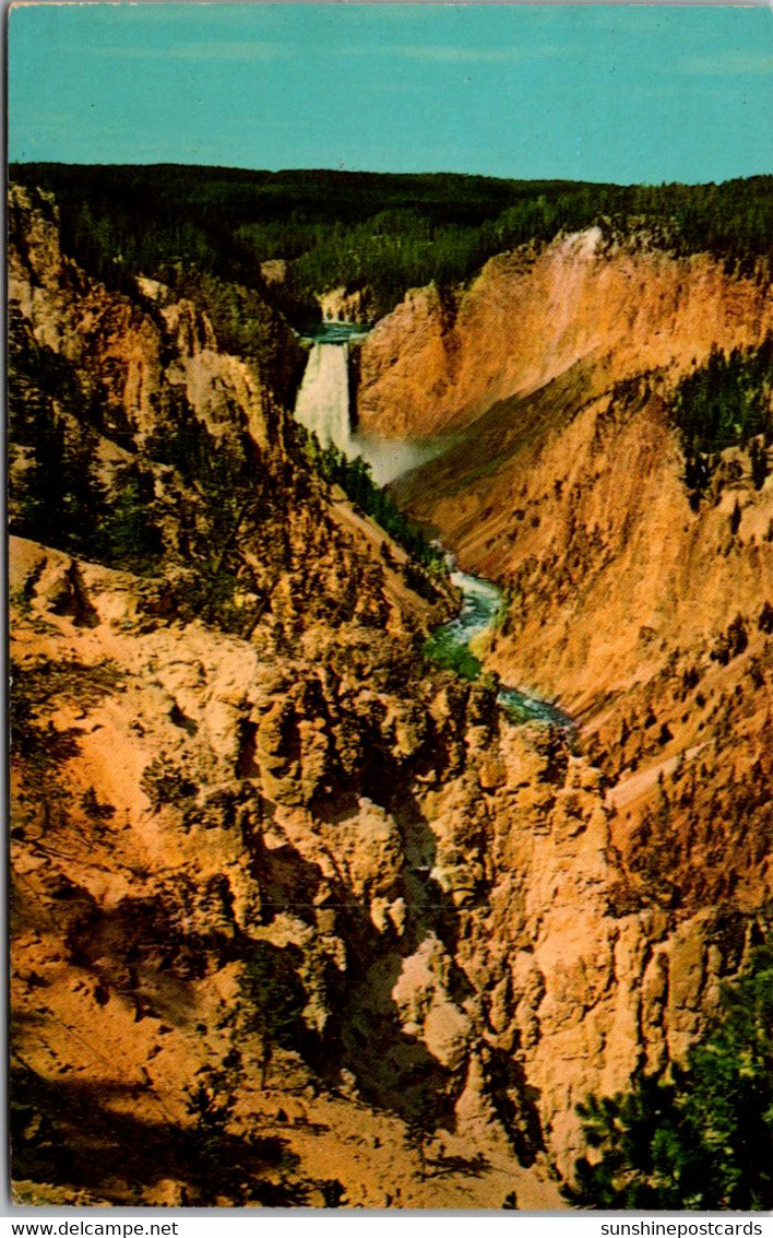 Yellowstone National Park Grand Canyon Of The Yellowstone And Lower Falls - USA Nationalparks