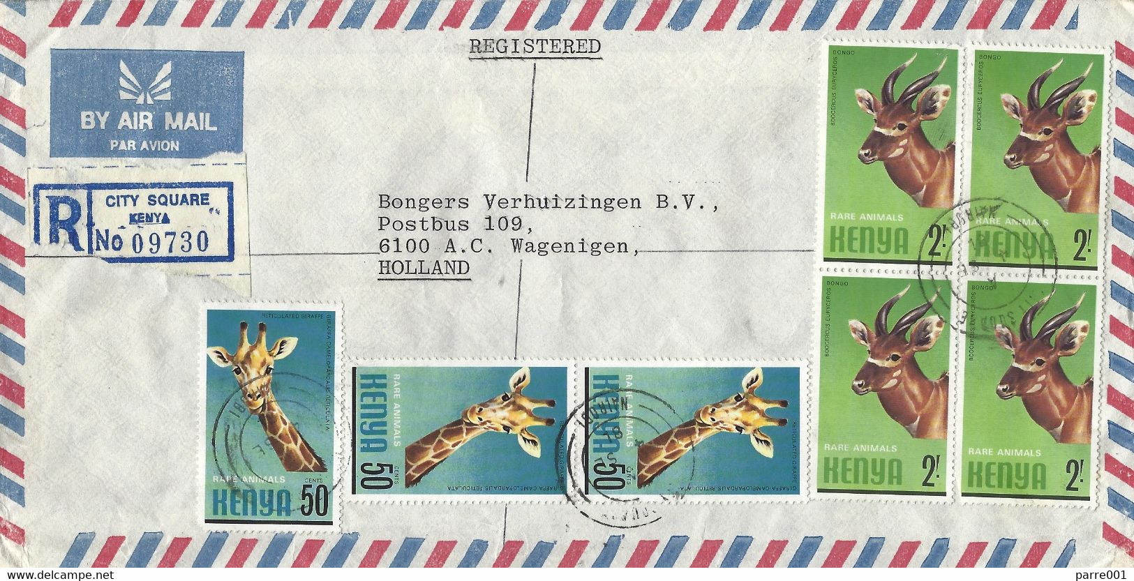 Kenya 1981 Nairobi Somali Giraffe Giraffa Camelopardalis Reticulata Bongo Antilope Registered Cover - Giraffen