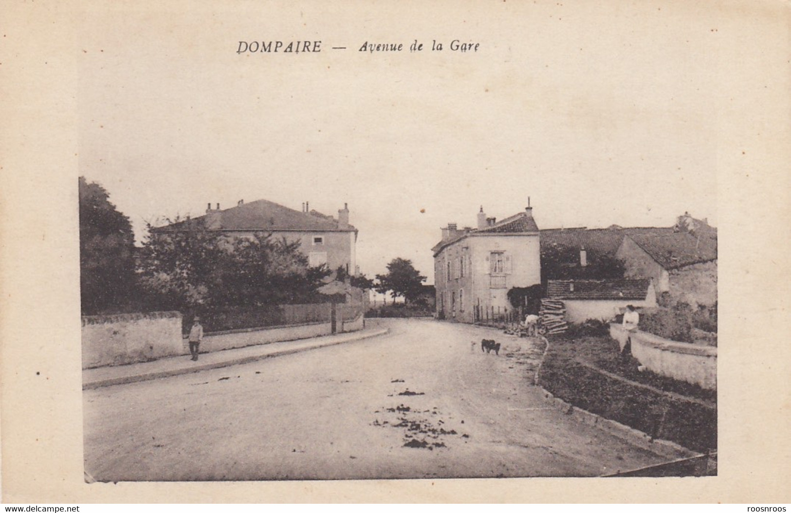 CP  DOMPAIRE 88 VOSGES - AVENUE DE LA GARE - Dompaire