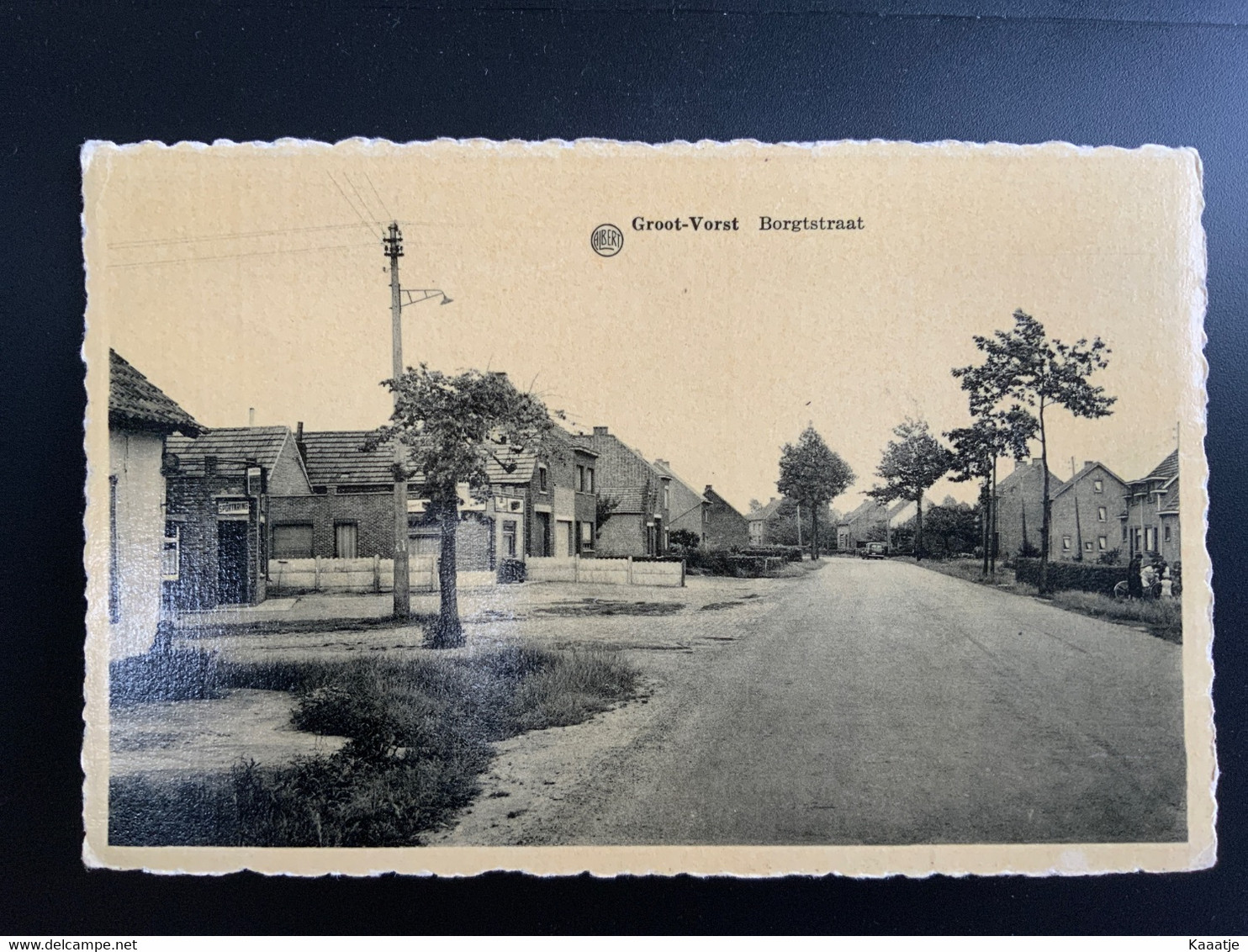 Groot-Vorst - Borgtstraat - Laakdal