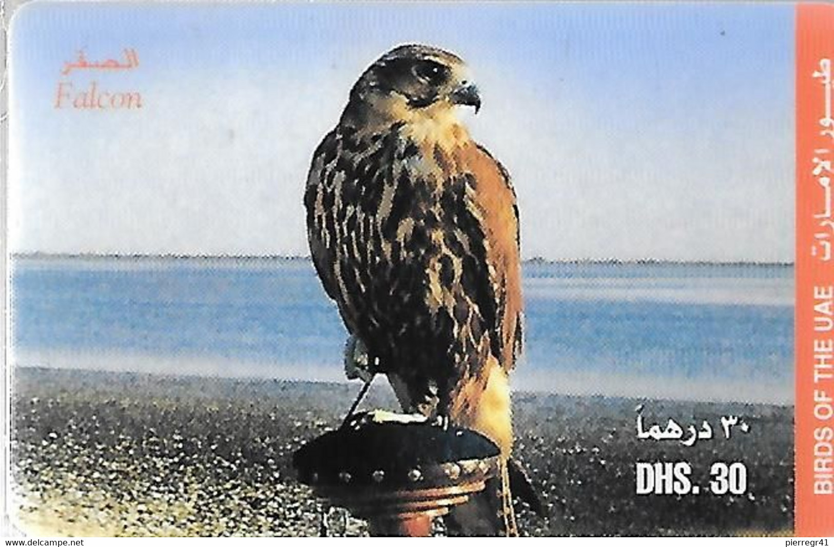 CARTE-PREPAYEE-ETISALAT--30 DHS--FAUCON-TBE-RARE - Aigles & Rapaces Diurnes