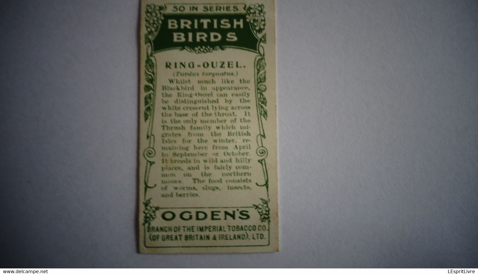 BRITISH BIRDS N° 41 RING OUZEL Oiseau Bird  Cigarettes OGDEN'S Tobacco Vignette Trading Card Chromo - Ogden's