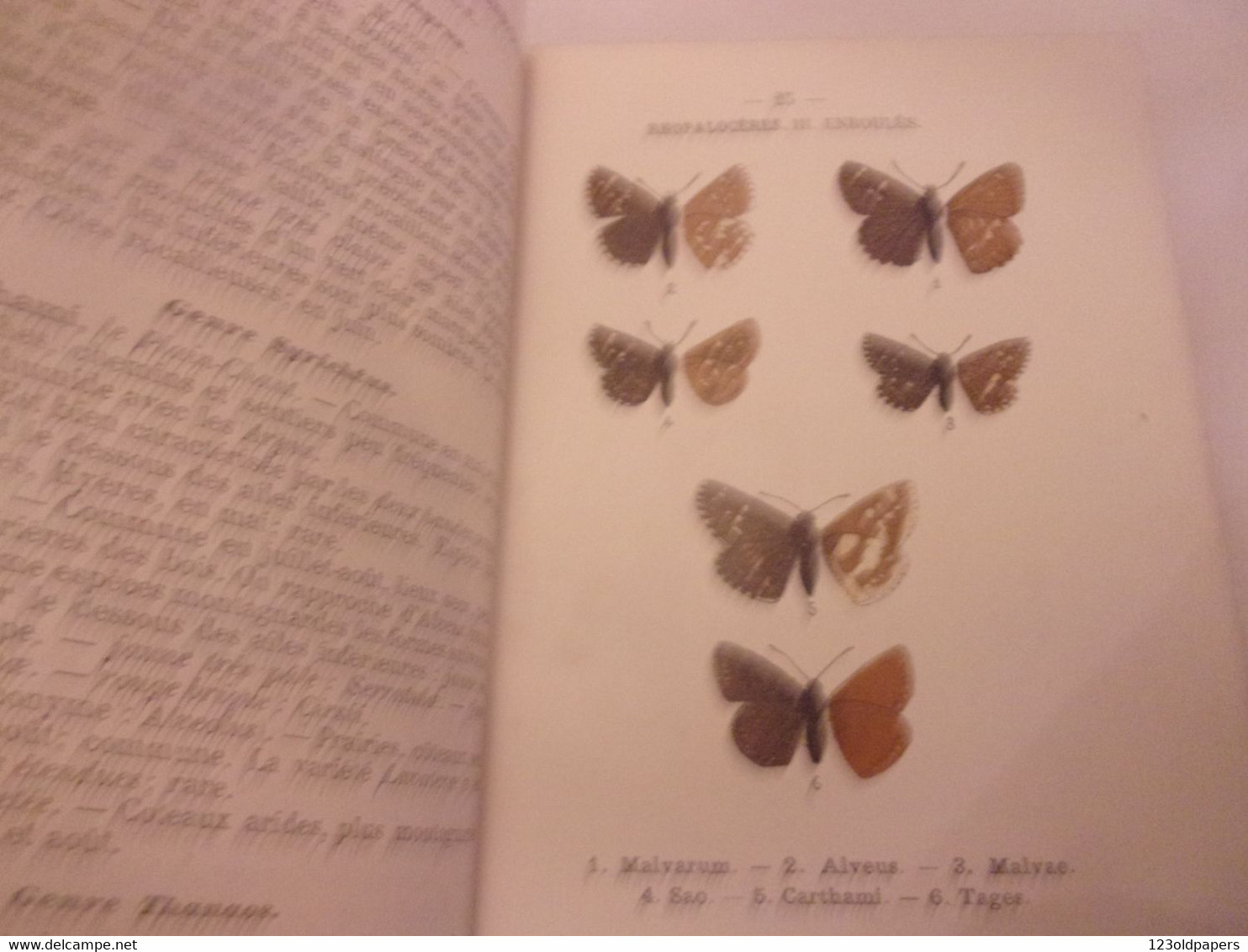 ♥️♥️ 1898 ENTOMOLOGIE ATLAS DE POCHE DES PAPILLONS DE FRANCE SUISSE ET BELGIQUE LES PLUS REPANDUS 72 PLANCHES - 1801-1900