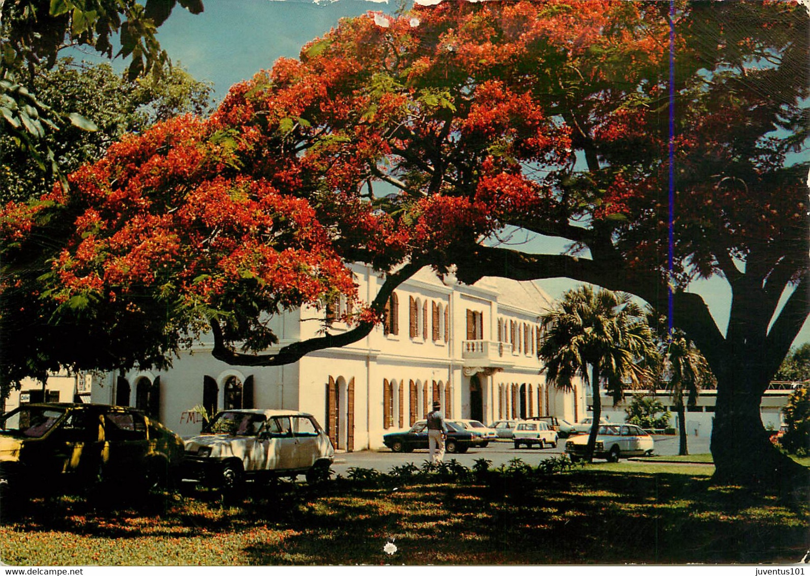 CPSM La Réunion-St Pierre-Hôtel De Ville      L1875 - Saint Pierre