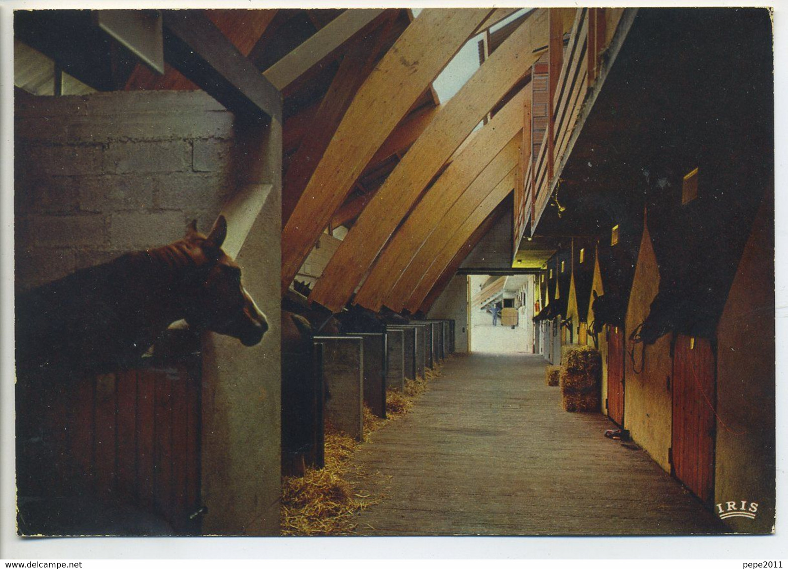 CPSM 19 POMPADOUR Club Méditerranée Domaine De La Noaille Intérieur Des écuries Chevaux - Arnac Pompadour