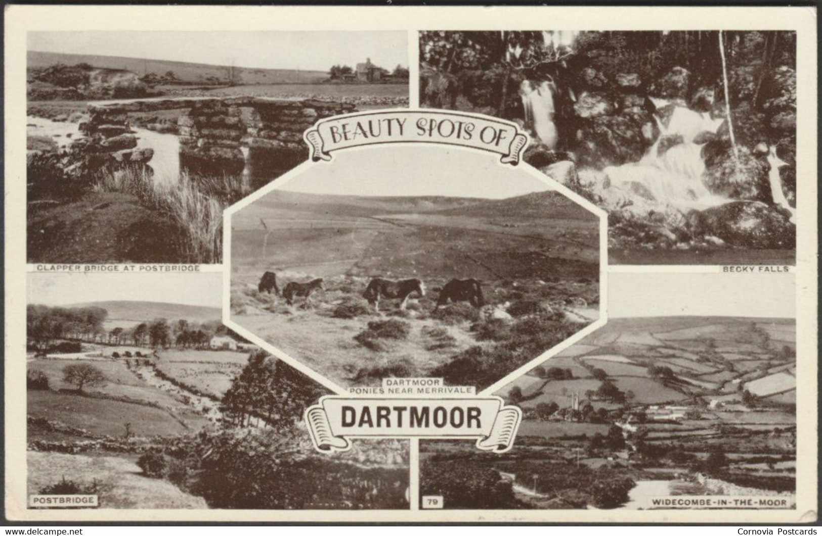 Beauty Spots Of Dartmoor, Devon, 1957 - Postcard - Dartmoor