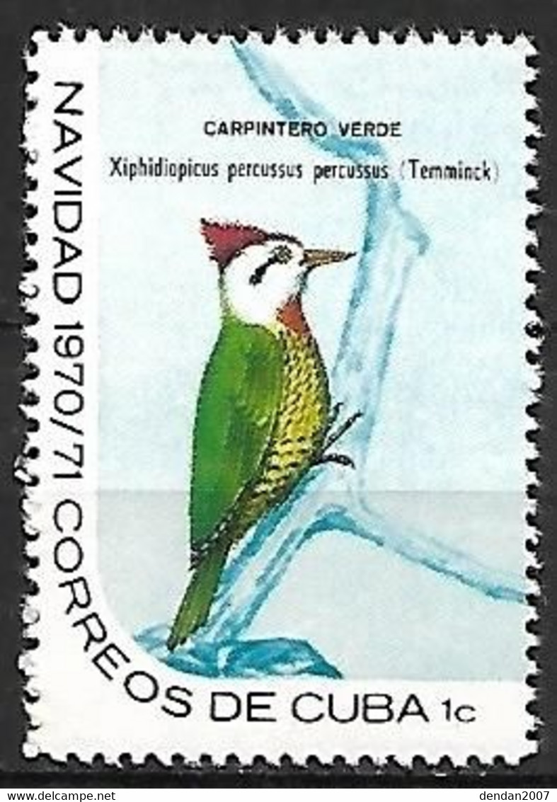 Cuba - MNH ** 1970 :     Cuban Green Woodpecker  -  Xiphidiopicus Percussus - Picchio & Uccelli Scalatori