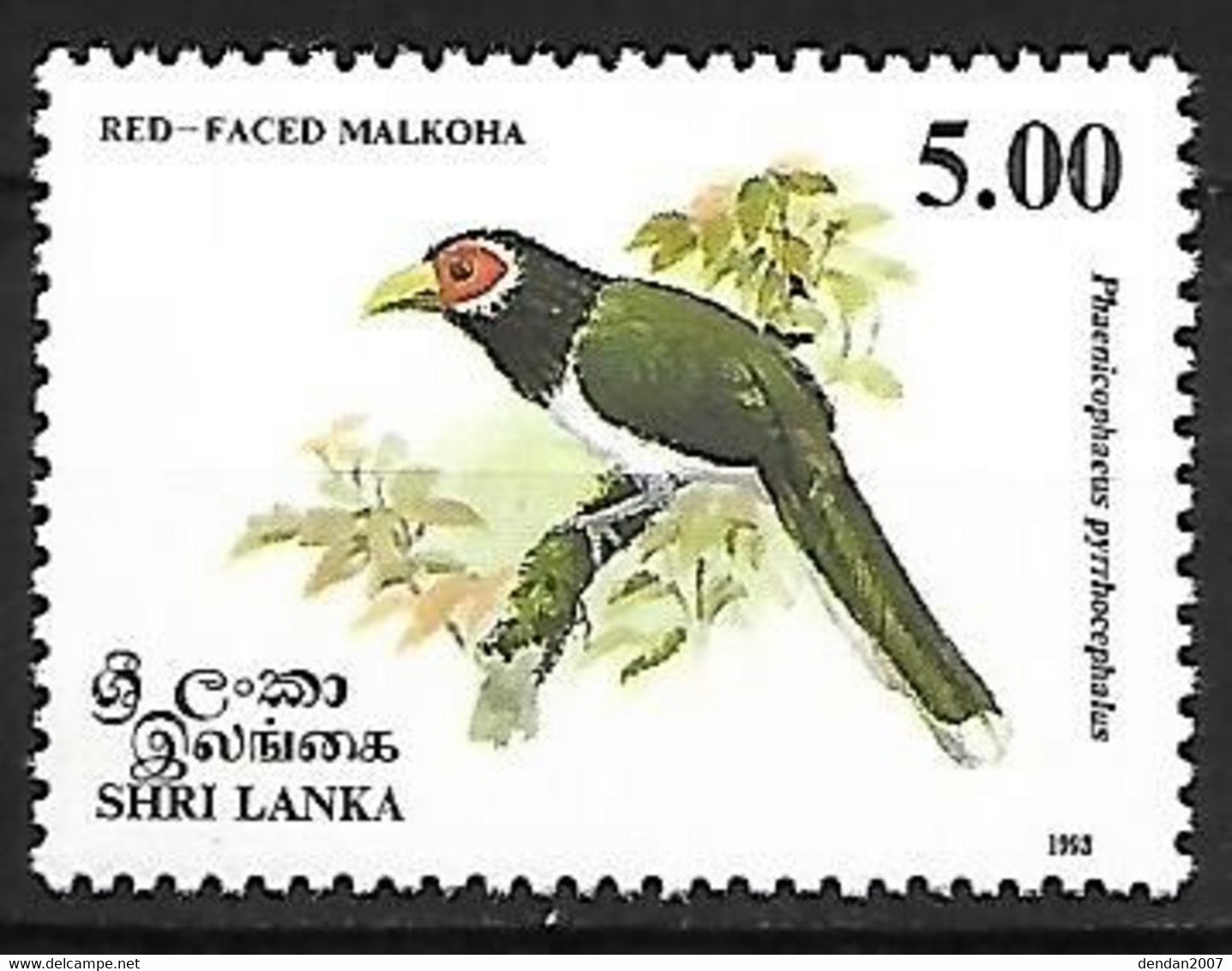 Sri Lanka - MNH ** 1993 :     Red-faced Malkoha  -  Phaenicophaeus Pyrrhocephalus - Cuculi, Turaco