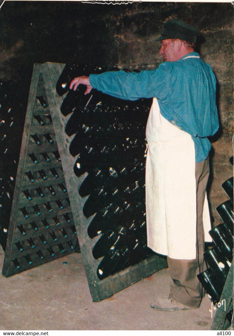 A21312 - En CHAMPAGNE Vue Des Caves Bouteilles En Cours De Remuage Sur Pupitre France Post Card Unused - Champagne - Ardenne