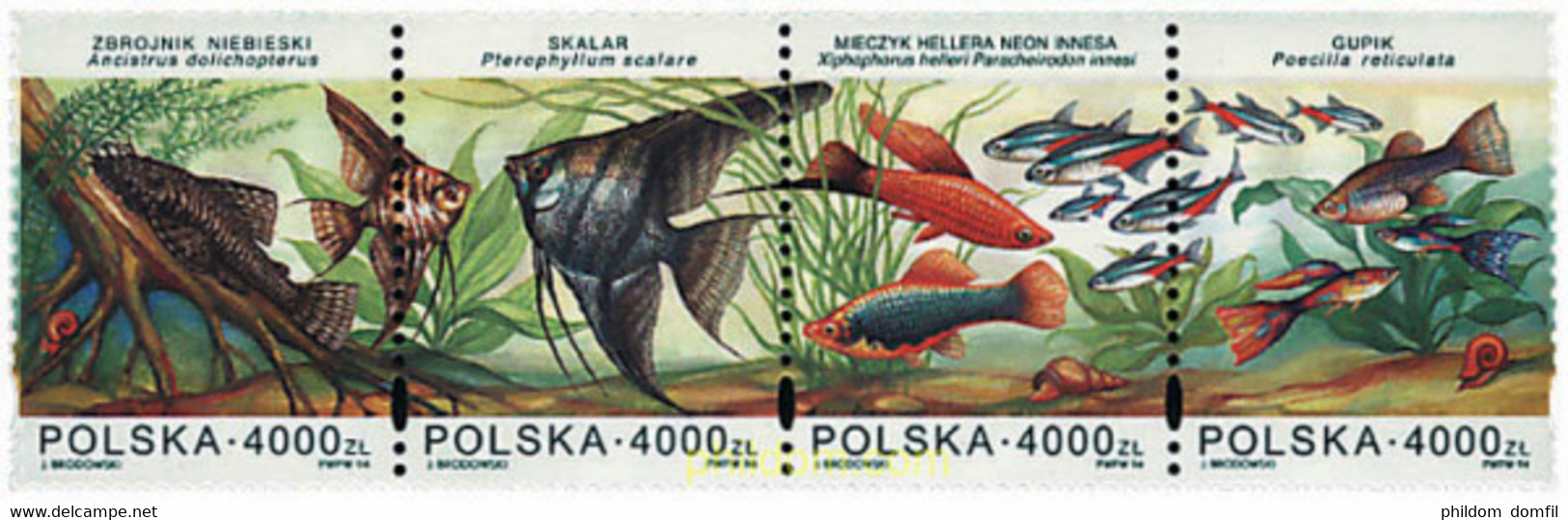 156196 MNH POLONIA 1994 PECES ORNAMENTALES - Ohne Zuordnung