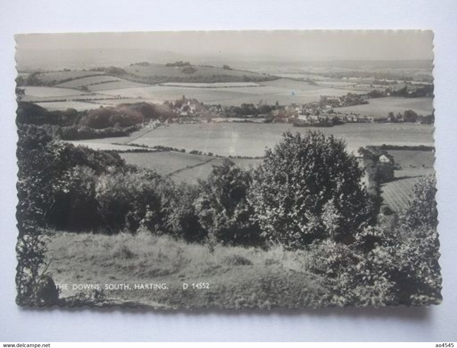 S06 Postcard Harting - The Downs, South - 1961 - Chichester