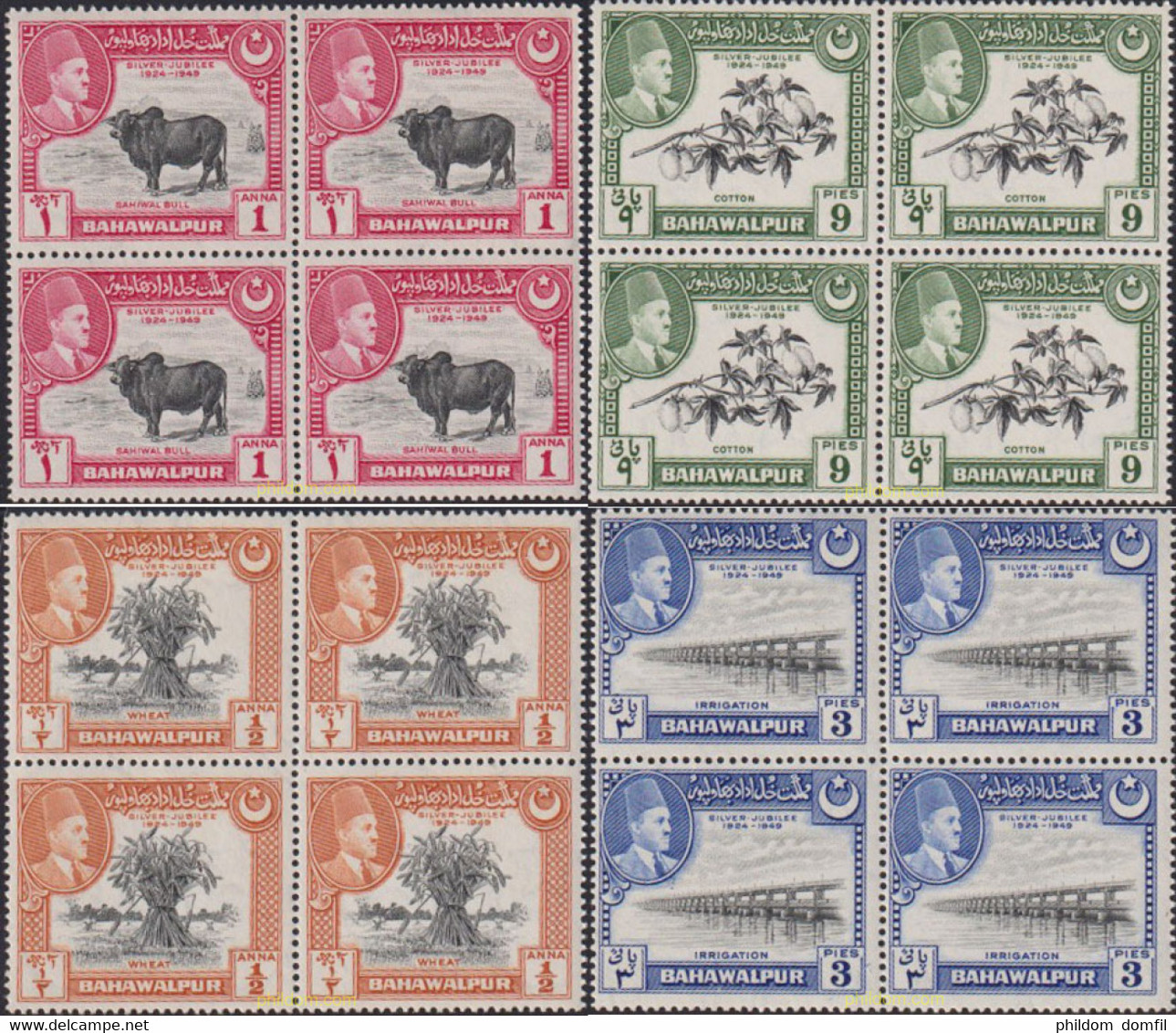 621695 MNH BAHAWALPUR 1949 25 ANIVERSARIO DEL SOBERANO - Bahawalpur