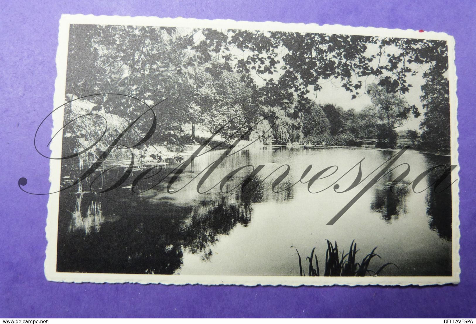 Tremelo Vijvers Van Kasteel De Fontein.  2 Stuks - Tremelo