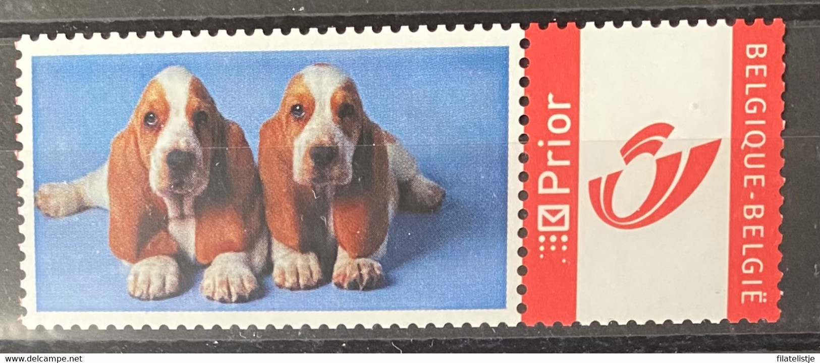 My Stamps Honden - Other & Unclassified