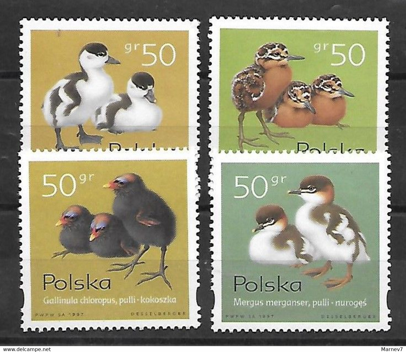 Pologne Polska Poland - Yvert 3469 à 3472** - 4 Valeurs  - Oisillons - 1997 - Ongebruikt