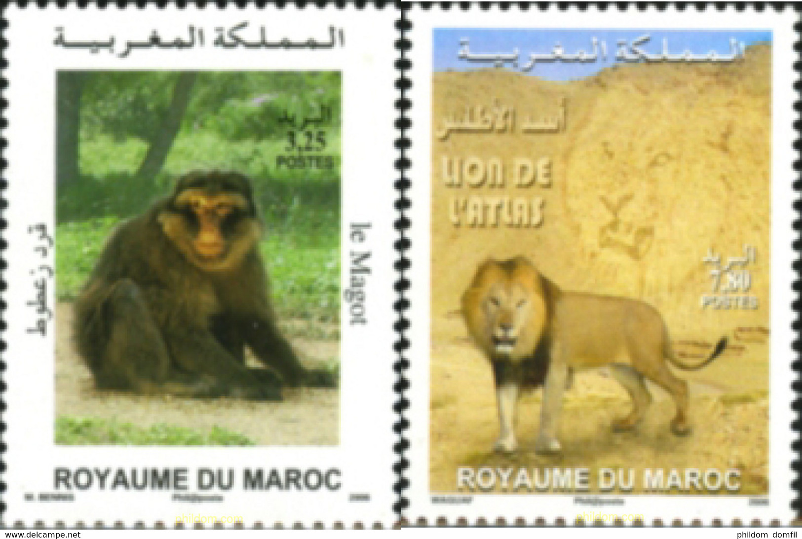 190062 MNH MARRUECOS 2006 FAUNA - Schimpansen