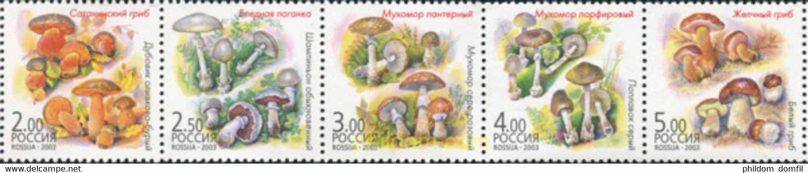 358214 MNH RUSIA 2003 SETAS - Used Stamps