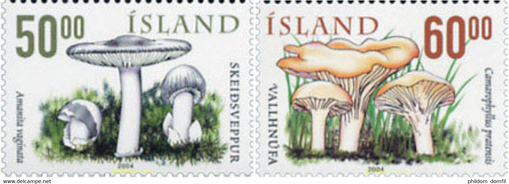 153266 MNH ISLANDIA 2004 SETAS - Lots & Serien