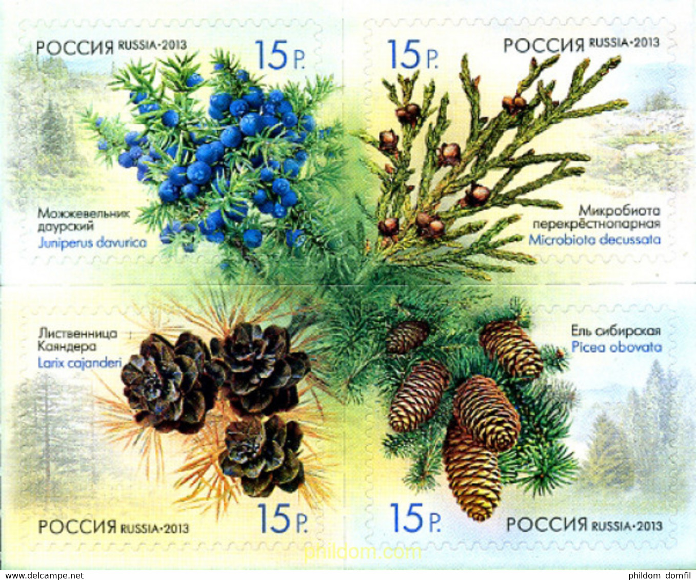 308358 MNH RUSIA 2013 FRUTOS DEL BOSQUE - Used Stamps