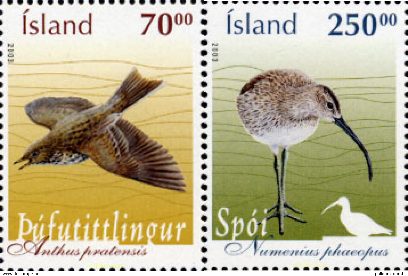 132347 MNH ISLANDIA 2003 AVES - Collections, Lots & Series