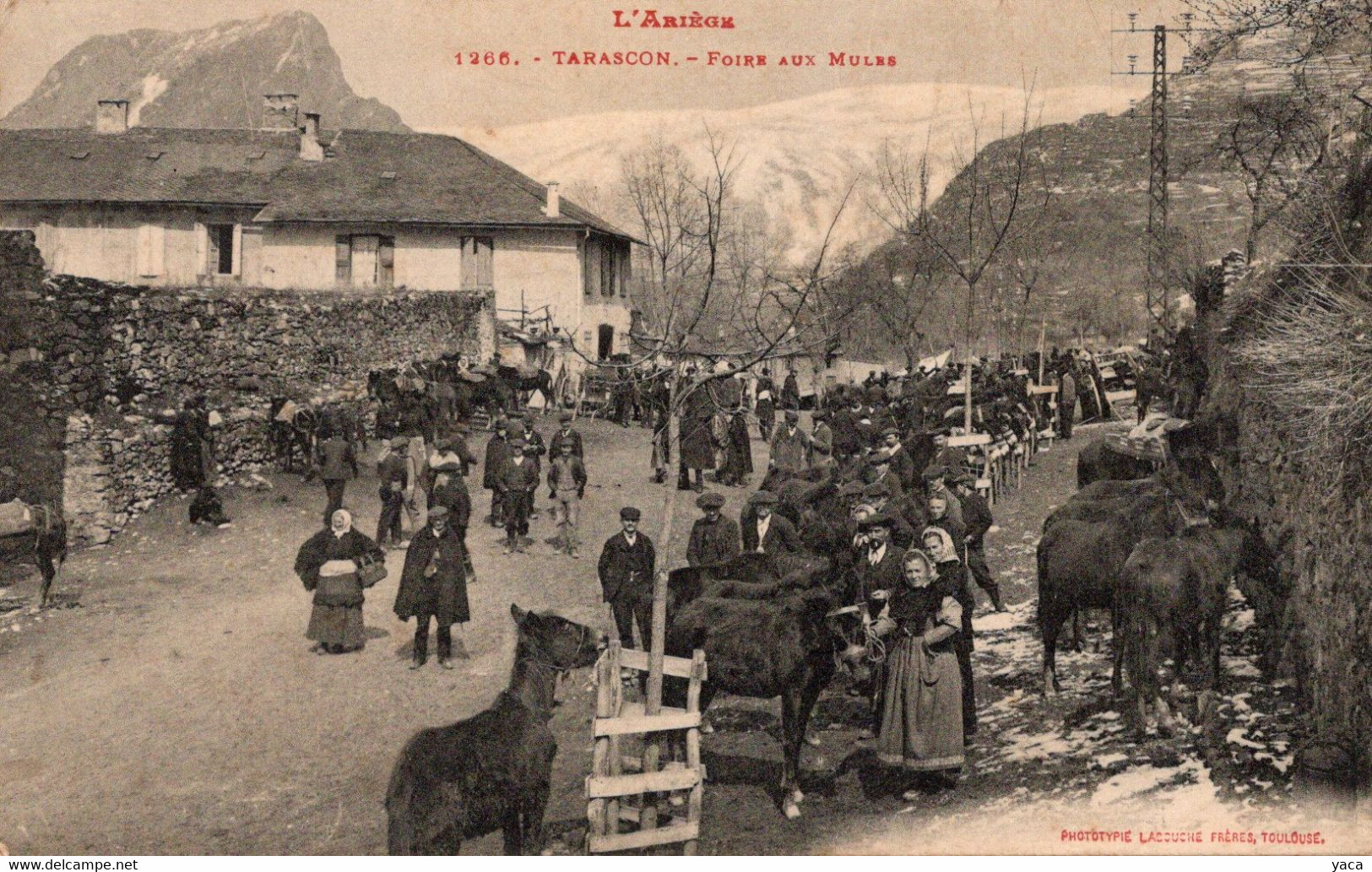 Tarascon Foire Aux Mules   Marché - Foires