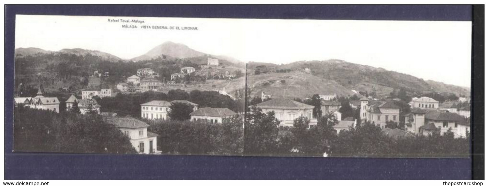 SPAIN MALAGA PANORAMIC DOUBLE POSTCARD EL LIMONAR LEMON GROVES FRUIT RAFAEL TOVAL MALAGA UNUSED - Málaga