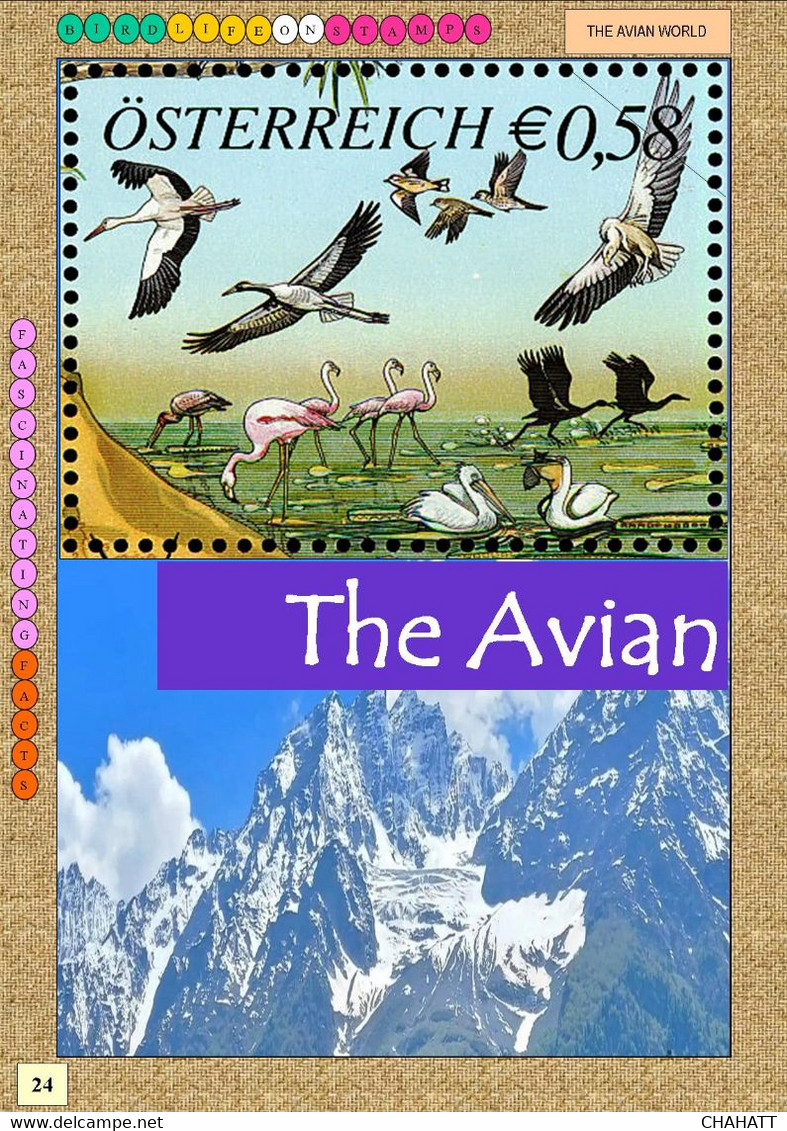 BIRDLIFE ON STAMPS- Ebook-(PDF)-DIGITAL-326 FULLY COLORED-A4-SIZE-ILLUSTRATED BOOK-ISBN-978-93-5659-173-8-EB-01 - Livres Sur Les Collections